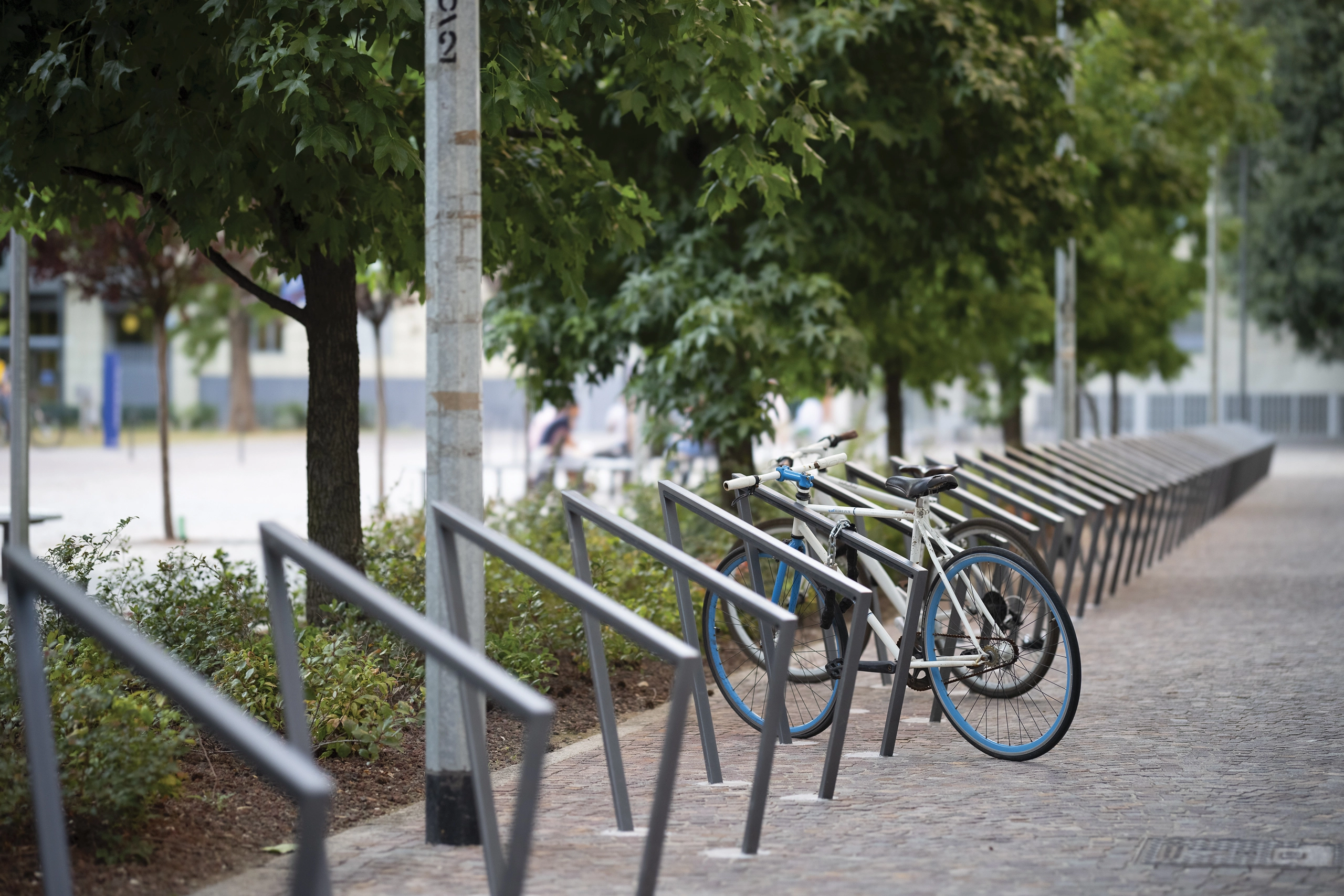 Bicycle Racks
